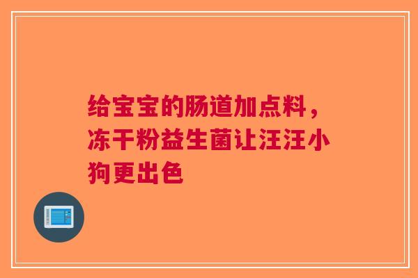 给宝宝的肠道加点料，冻干粉益生菌让汪汪小狗更出色