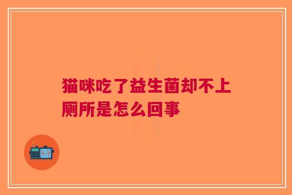 猫咪吃了益生菌却不上厕所是怎么回事