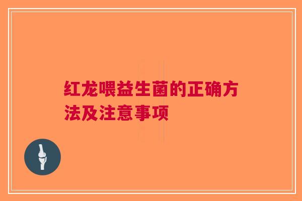 红龙喂益生菌的正确方法及注意事项
