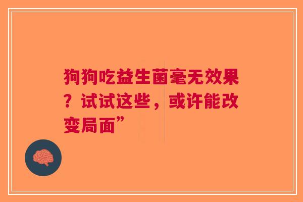 狗狗吃益生菌毫无效果？试试这些，或许能改变局面”