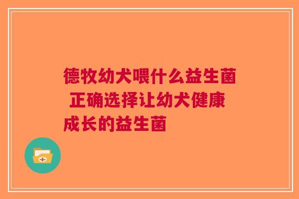 德牧幼犬喂什么益生菌 正确选择让幼犬健康成长的益生菌