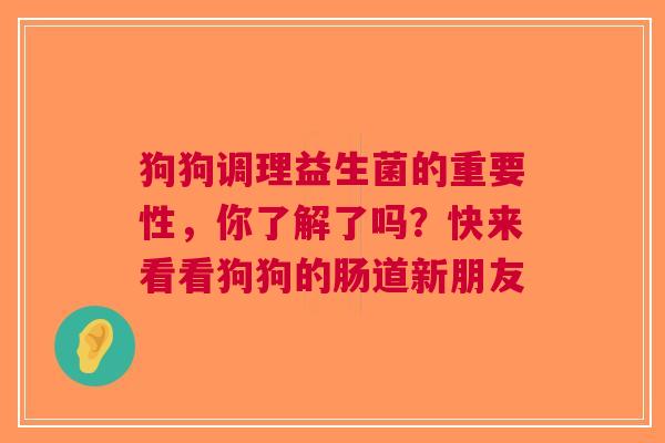狗狗调理益生菌的重要性，你了解了吗？快来看看狗狗的肠道新朋友