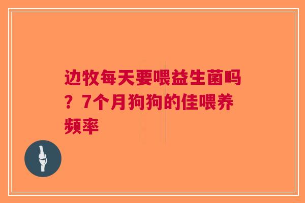 边牧每天要喂益生菌吗？7个月狗狗的佳喂养频率