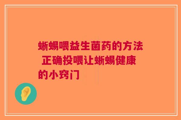 蜥蜴喂益生菌药的方法 正确投喂让蜥蜴健康的小窍门