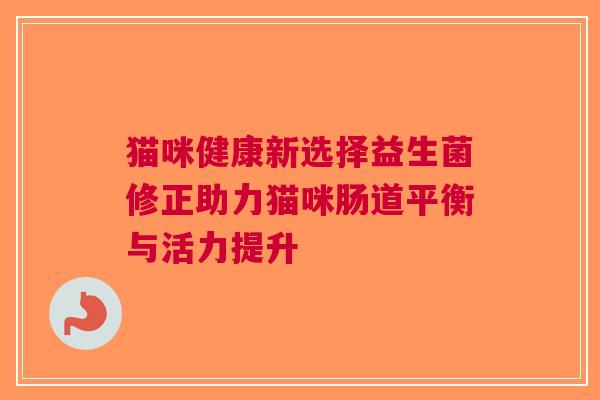 猫咪健康新选择益生菌修正助力猫咪肠道平衡与活力提升