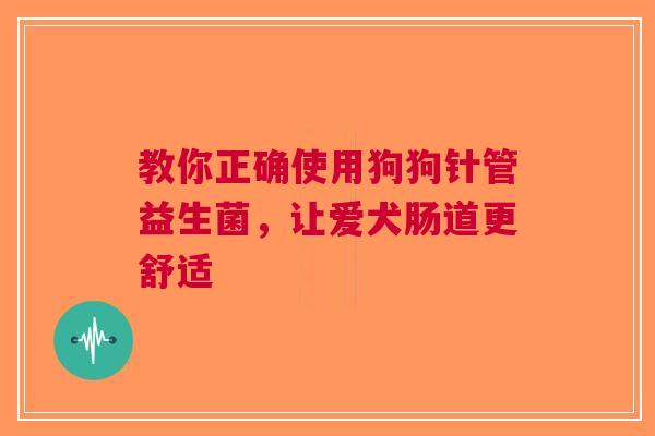 教你正确使用狗狗针管益生菌，让爱犬肠道更舒适